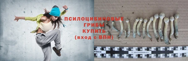 ECSTASY Волоколамск