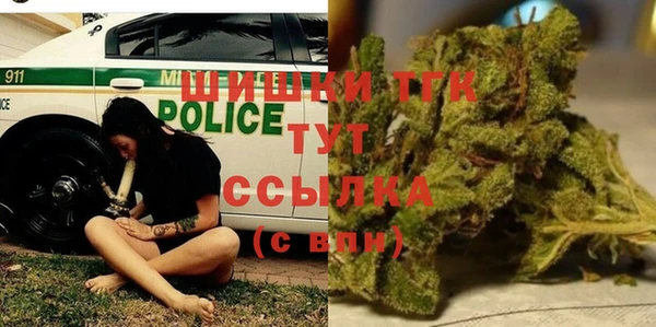 таблы Бородино