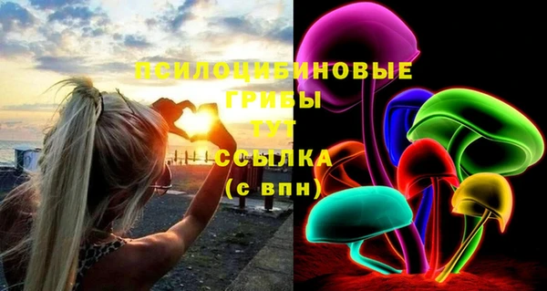 молекула духа Володарск